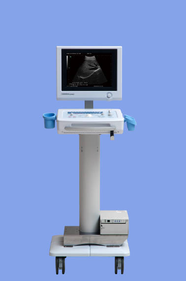 HS 2700